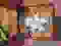 20251027_201916.jpg